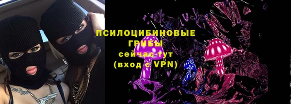 2c-b Абинск